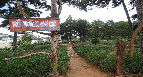 Đồi thông hai mộ tại Đà Lạt